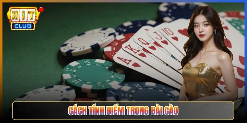 Cách Tính Điểm Trong Bài Cào